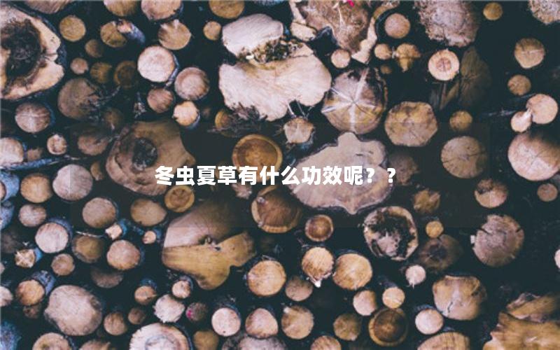 冬虫夏草有什么功效呢？？