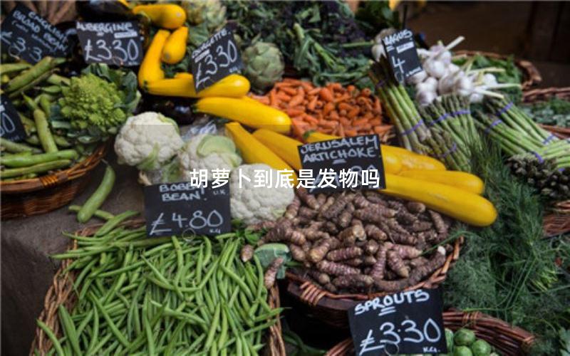 胡萝卜到底是发物吗