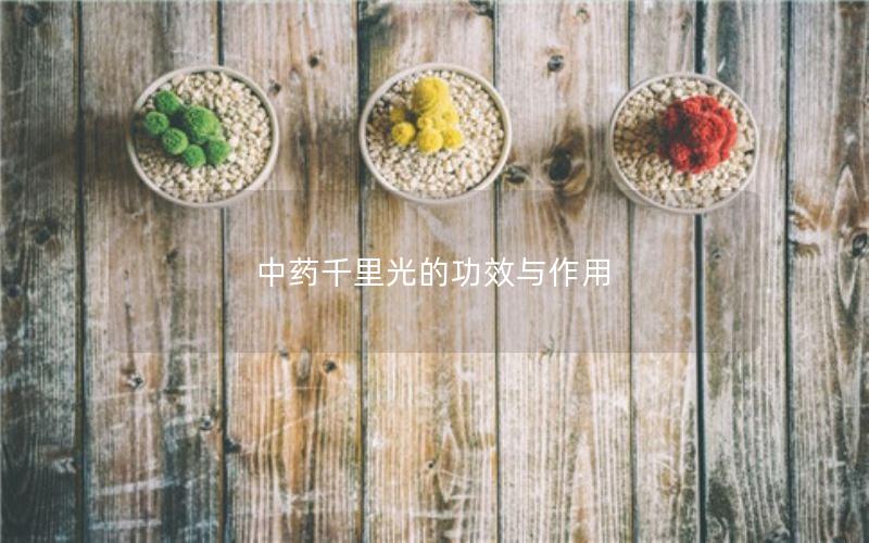 中药千里光的功效与作用