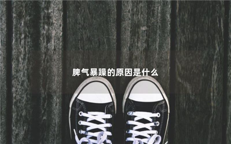 脾气暴躁的原因是什么