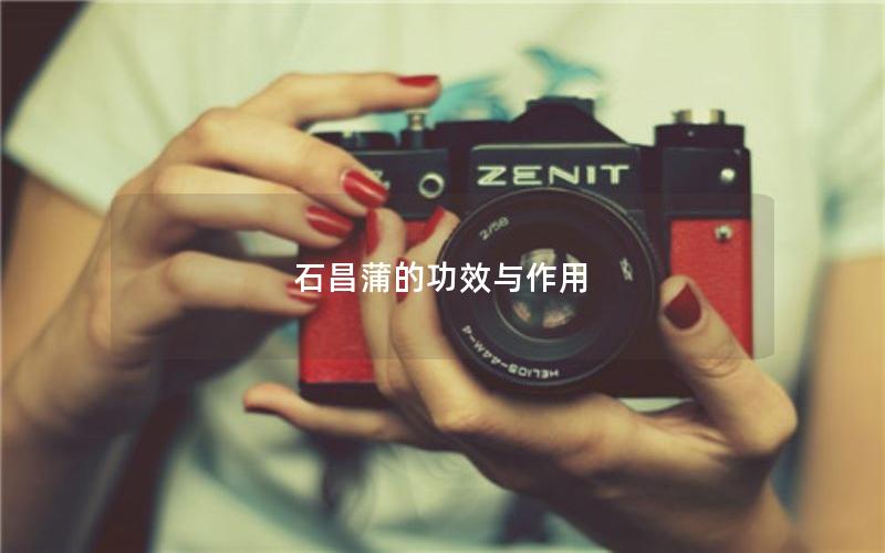 石昌蒲的功效与作用