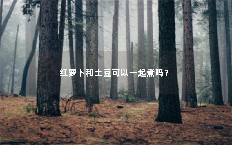 红萝卜和土豆可以一起煮吗？