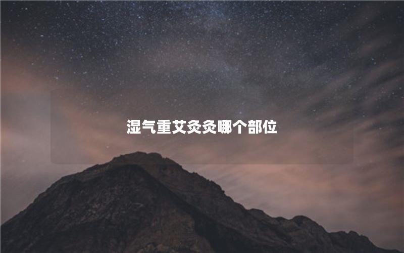湿气重艾灸灸哪个部位