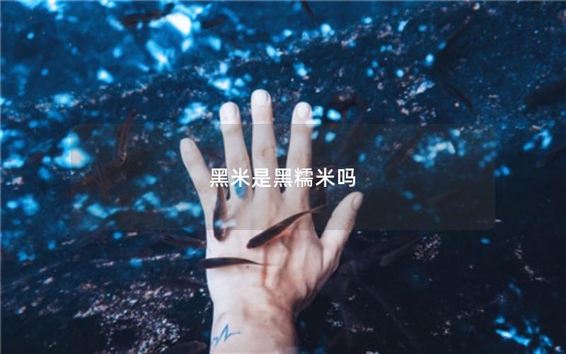 黑米是黑糯米吗