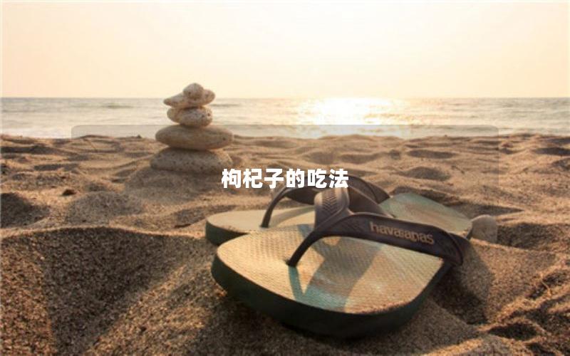 枸杞子的吃法